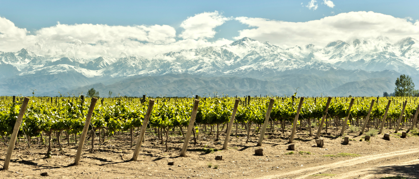 Argentina Chile vineyards