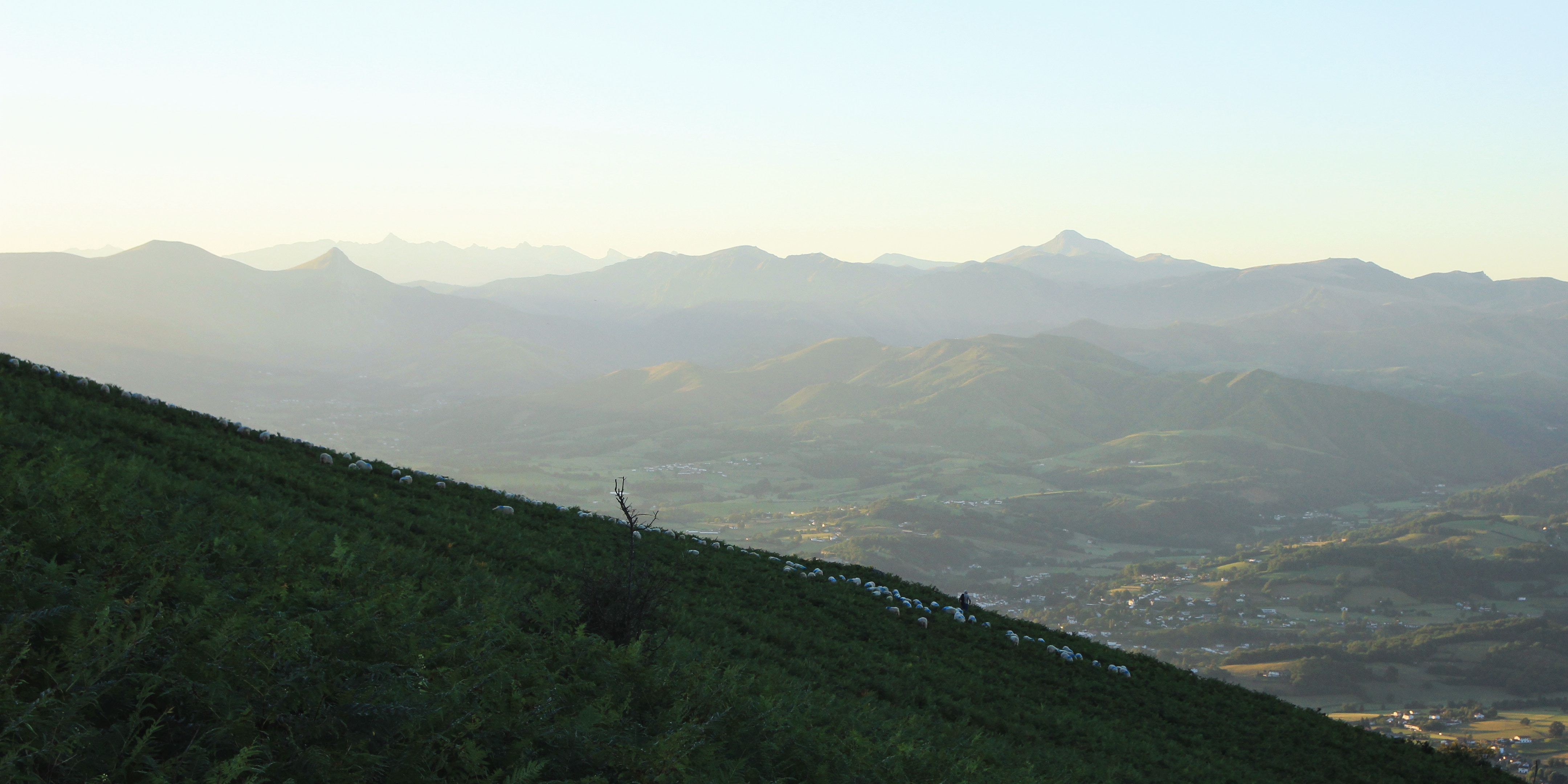 southwest of france wine tours - Wine Paths