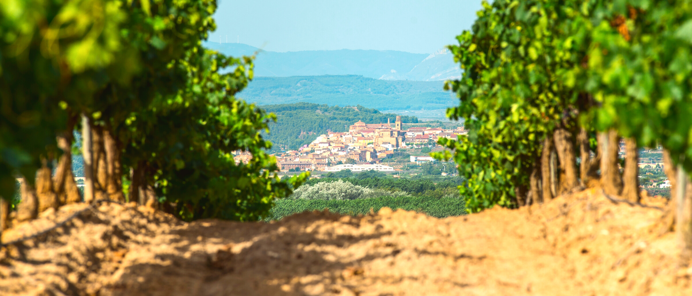 Spain Rioja Landscape