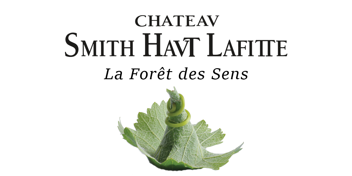 château smith haut lafitte wines - Wine Paths
