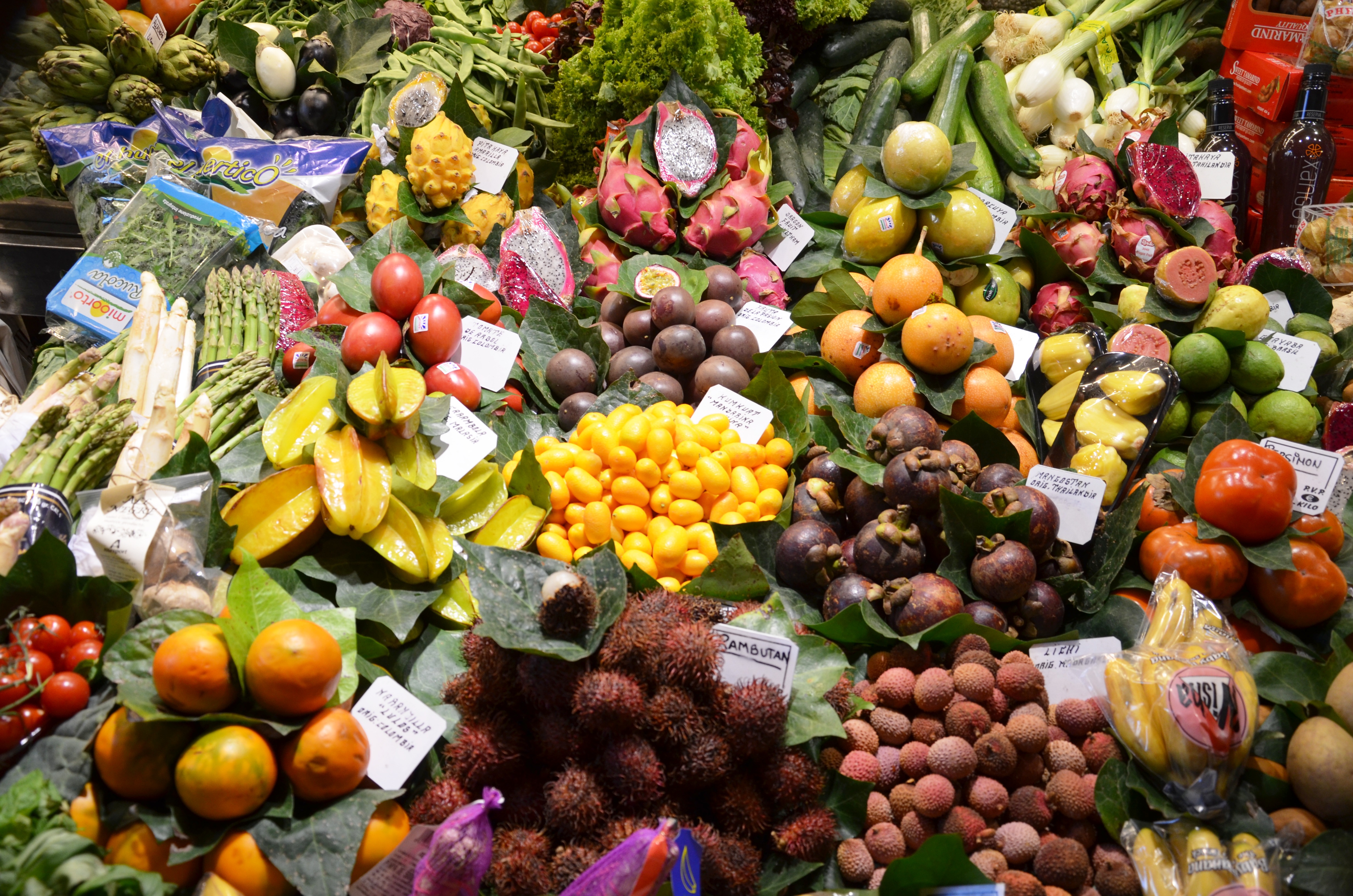 gourmet food tour in barcelona - Wine Paths