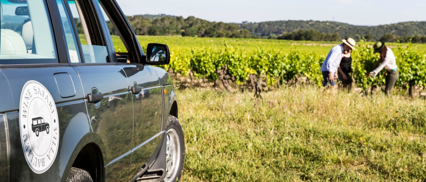 best wine tours - Wine Paths