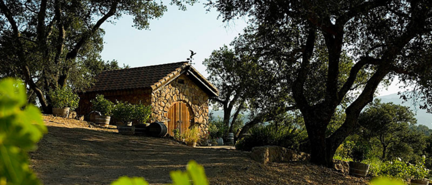 Screaming Eagle Winery