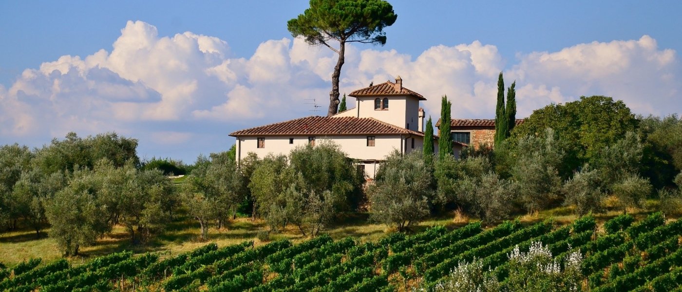 italy wine tours - Wine Paths