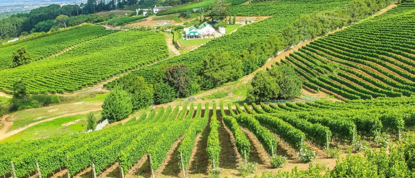Half Day Stellenbosch Winelands Experience Darren Local travel