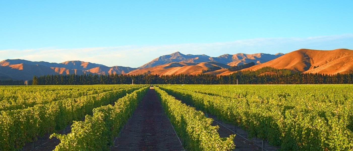 new zealand wine tours - Wine Paths