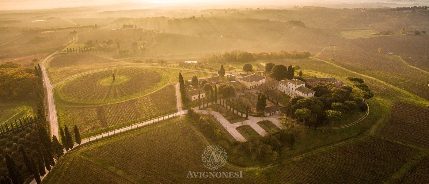 Avignonesi – Fattoria Le Capezzine