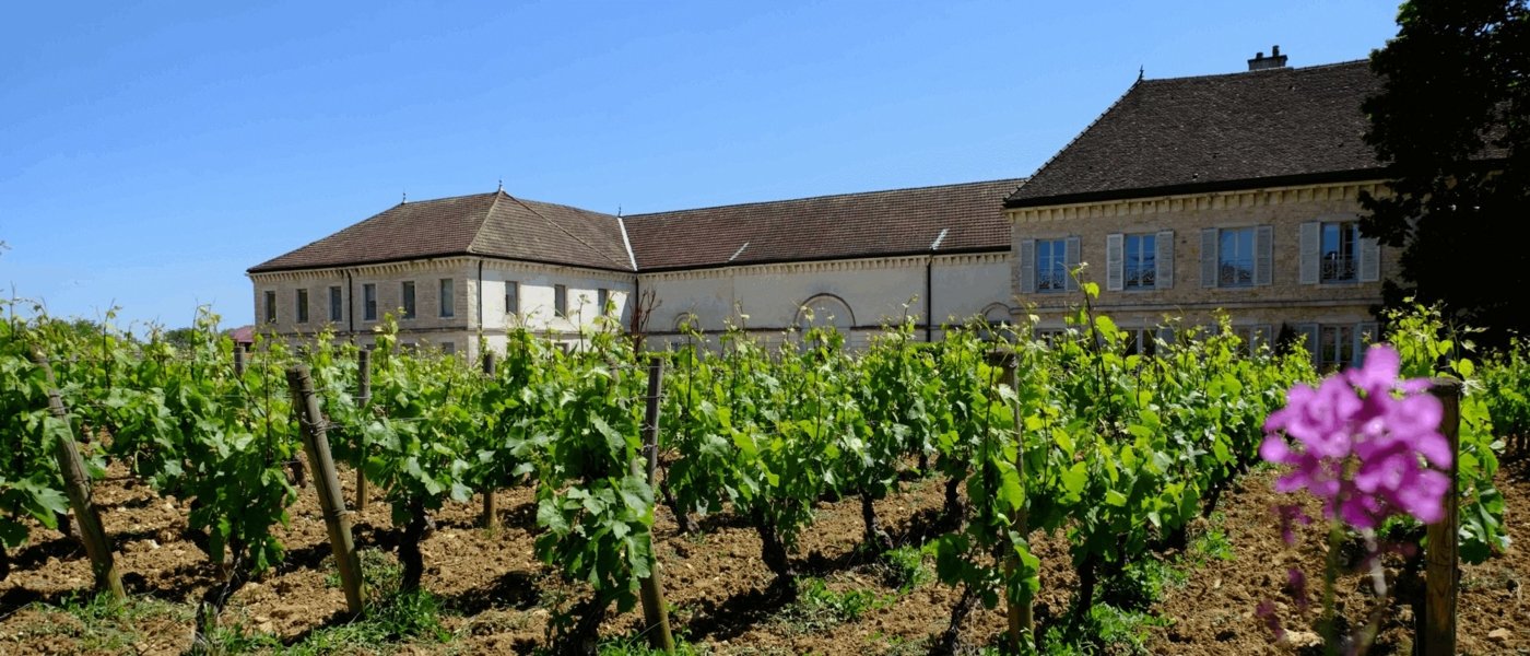 Château de Chassagne-Montrachet