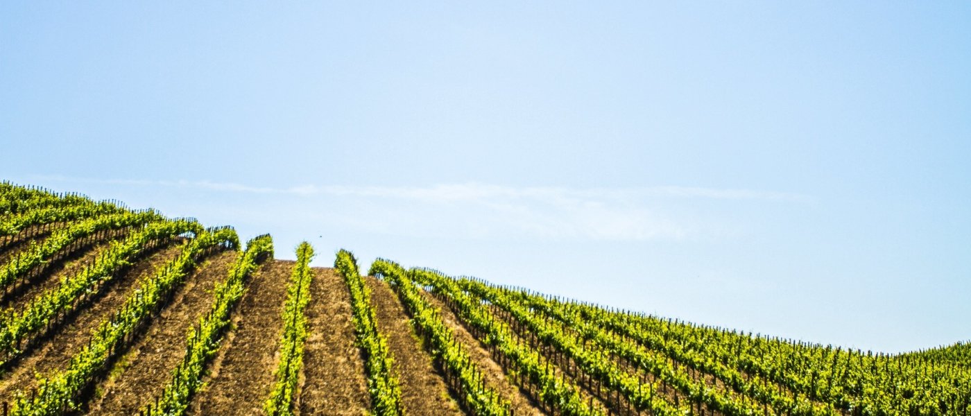 Sonoma landscape- Wine Paths