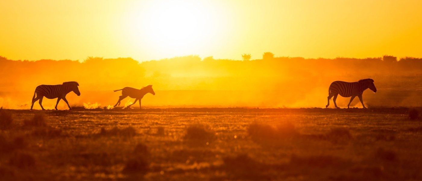 Wine & Safari in South Africa - Wine Paths