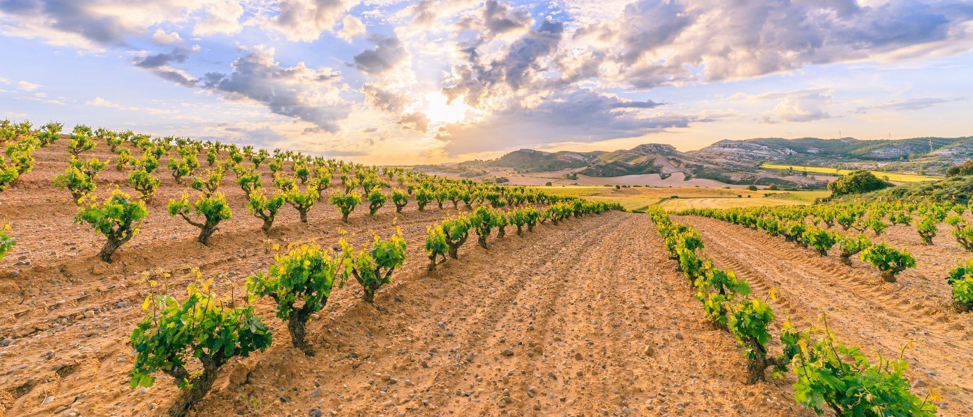 spain wine tours - Wine Paths