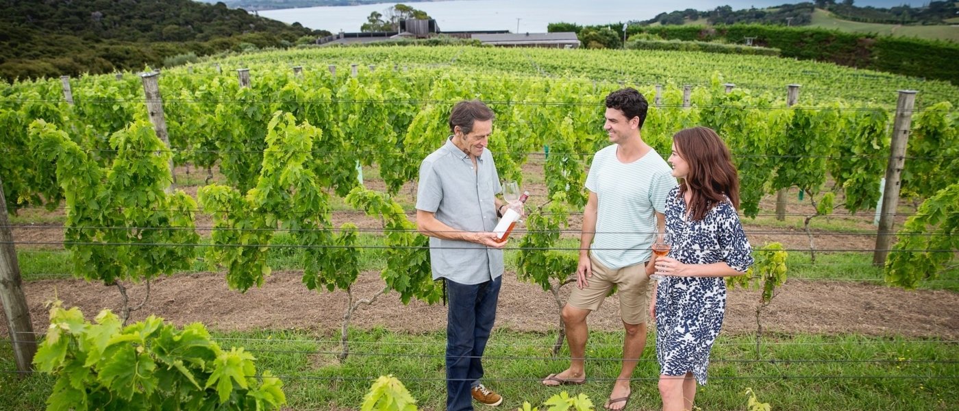 Auckland wine region - Wine Paths