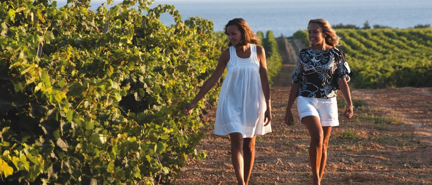 Local wine travel expert in Sicily