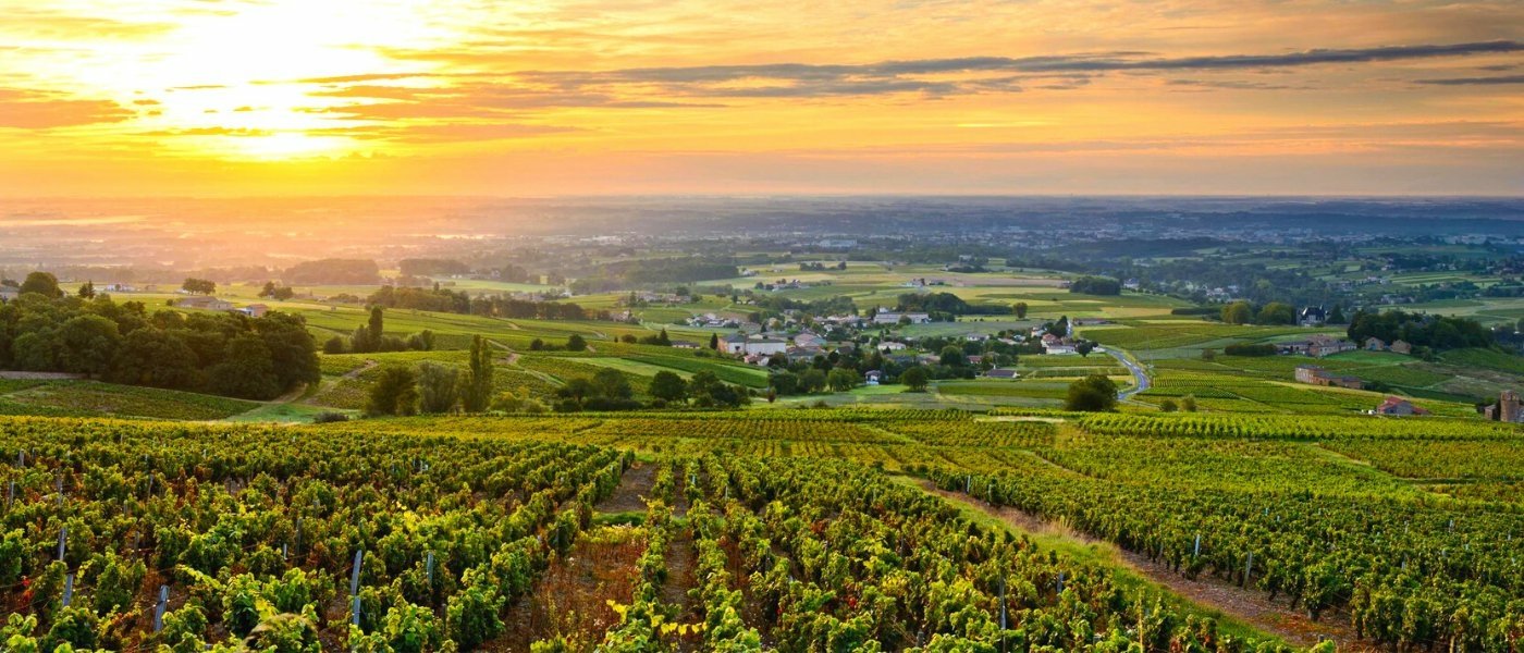wine tours in France