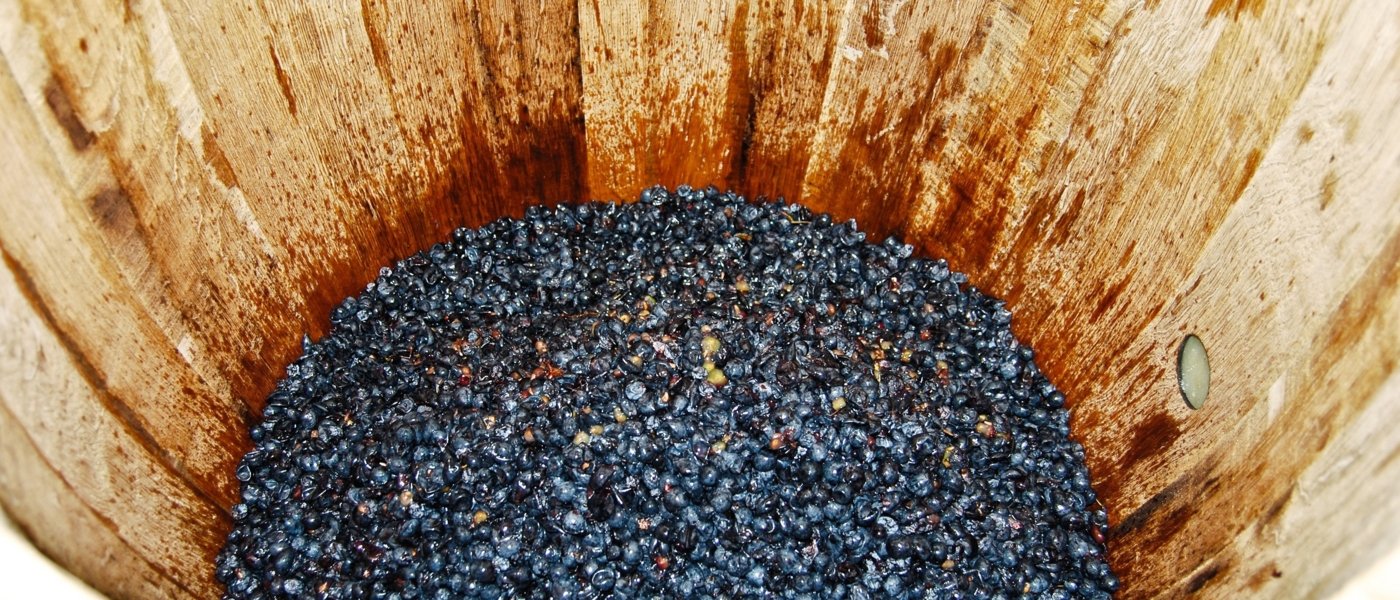 Integral vinification for our Chacayes wine.