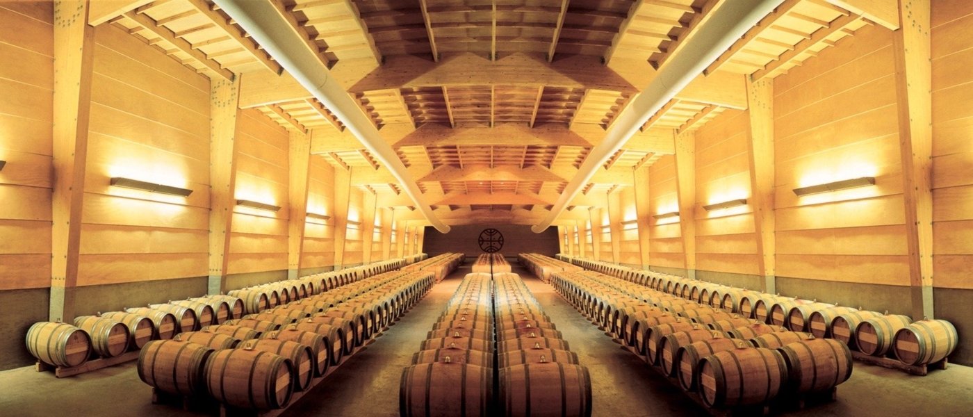 Exclusive wine tour at Almaviva