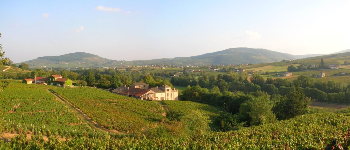 rhône valley wine tours - Wine Paths