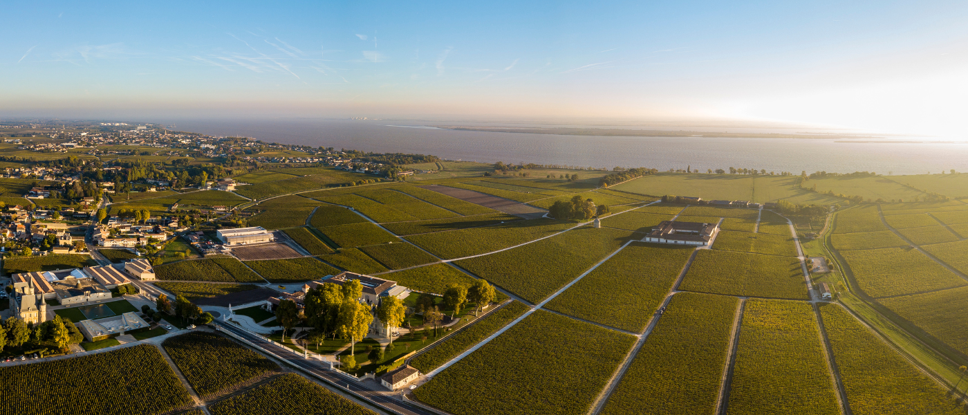 Wine tour between Medoc and St. Emilion