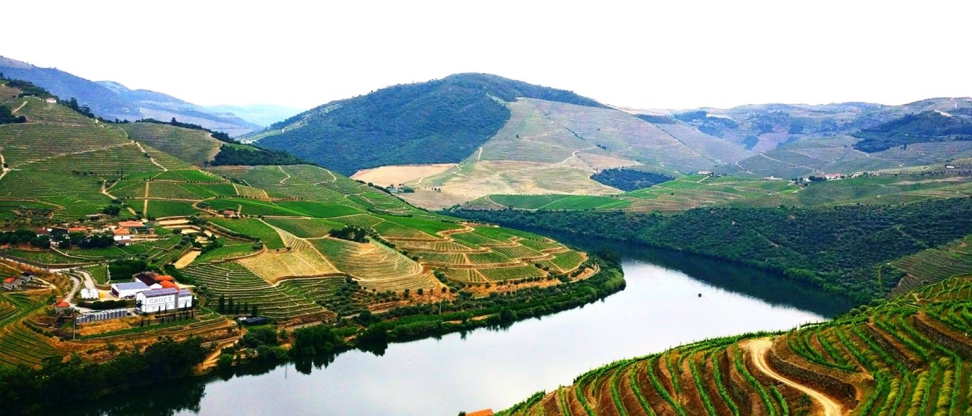 douro valley wine tours - Wine Paths