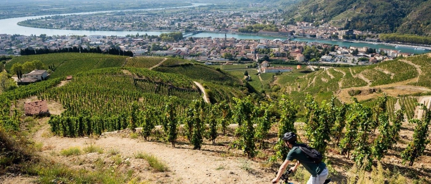 Rhône Valley - Wine Paths