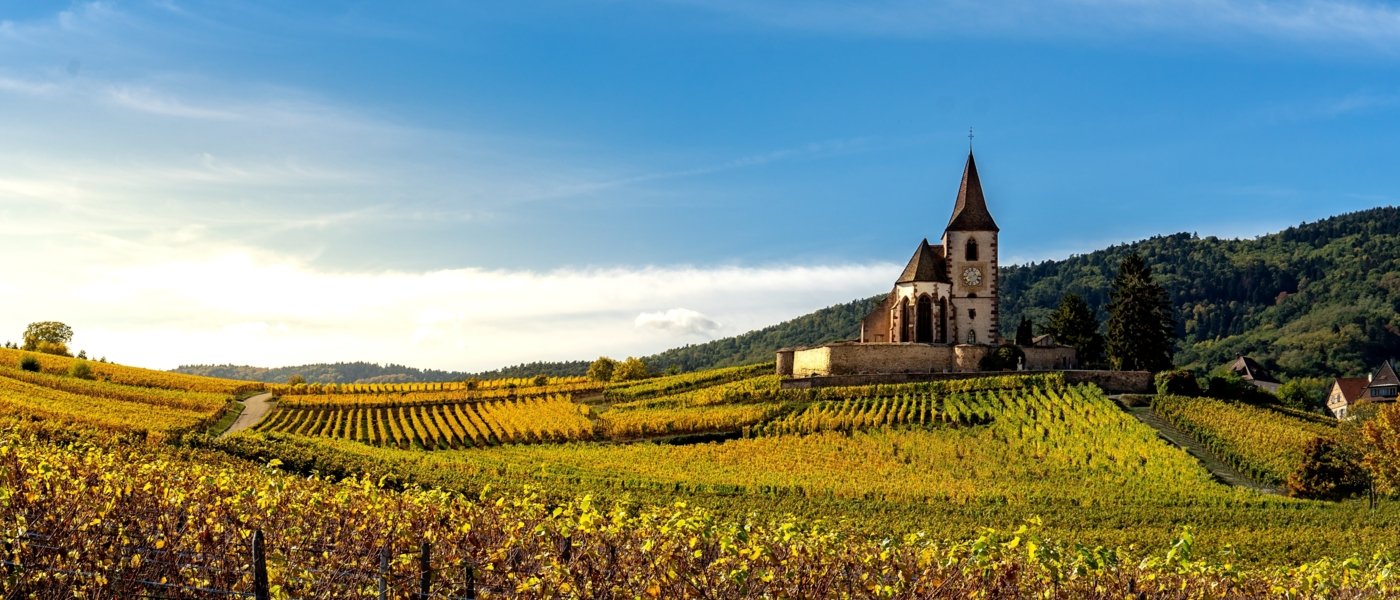 alsace wine tours - Wine Paths