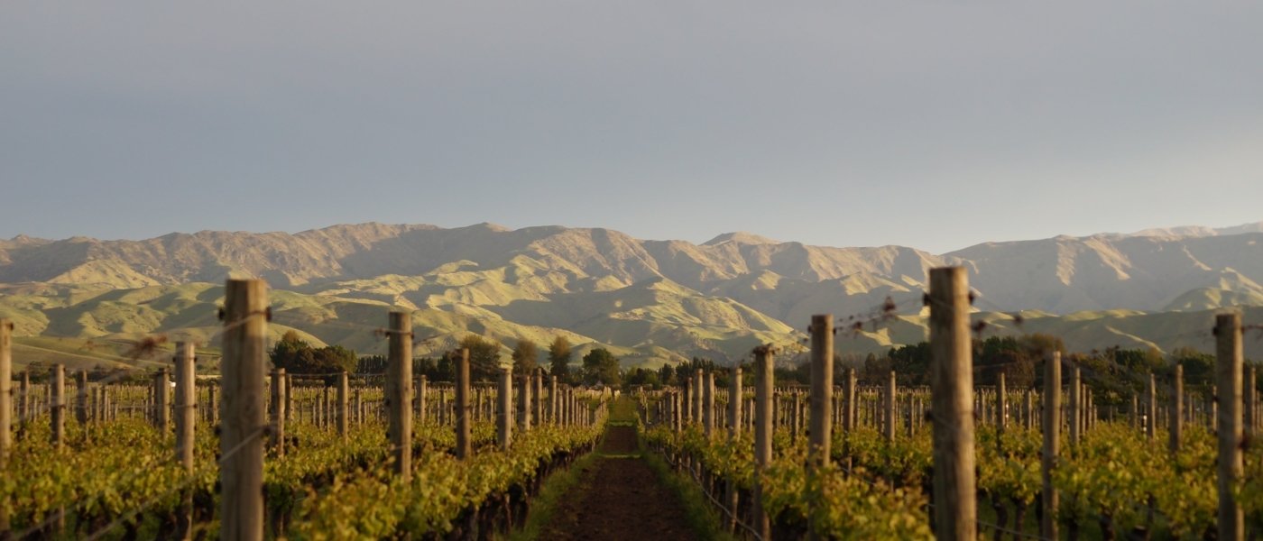 new zealand wine tours - Wine Paths