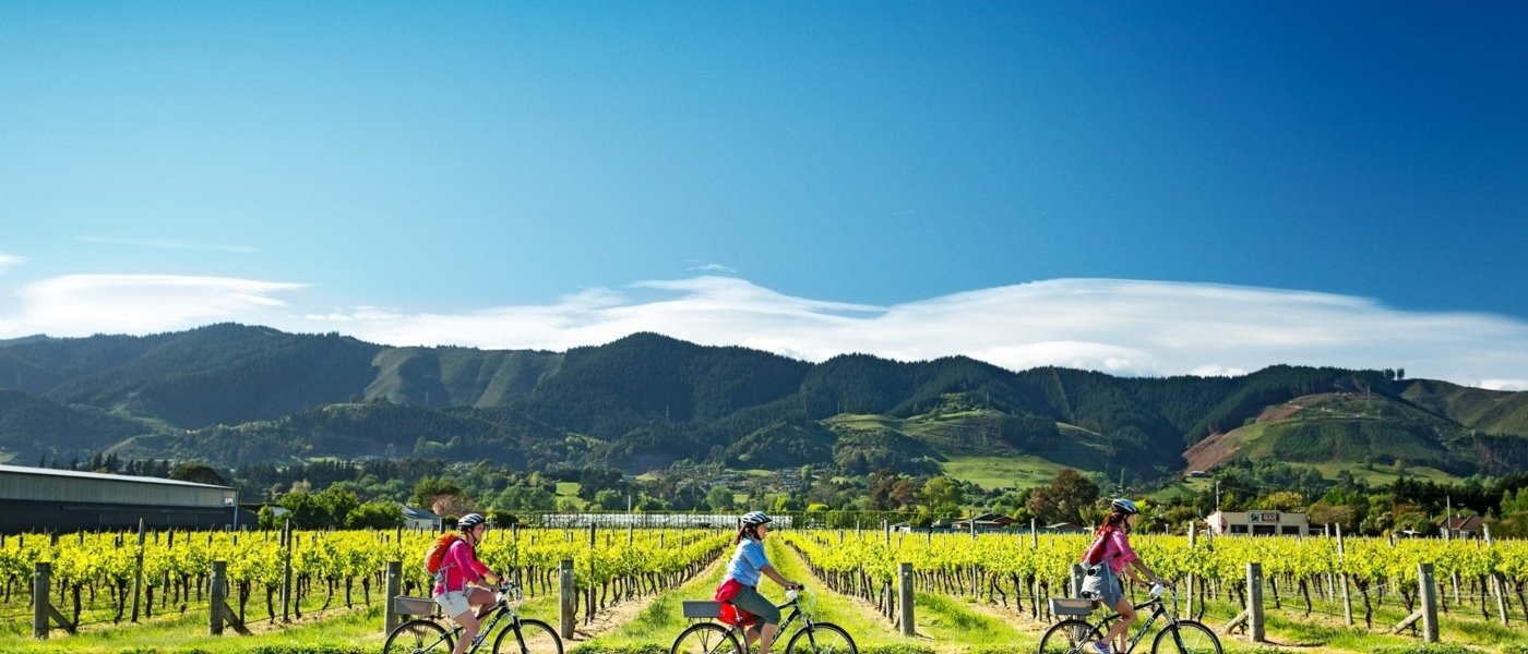 New Zealand - Wine Paths