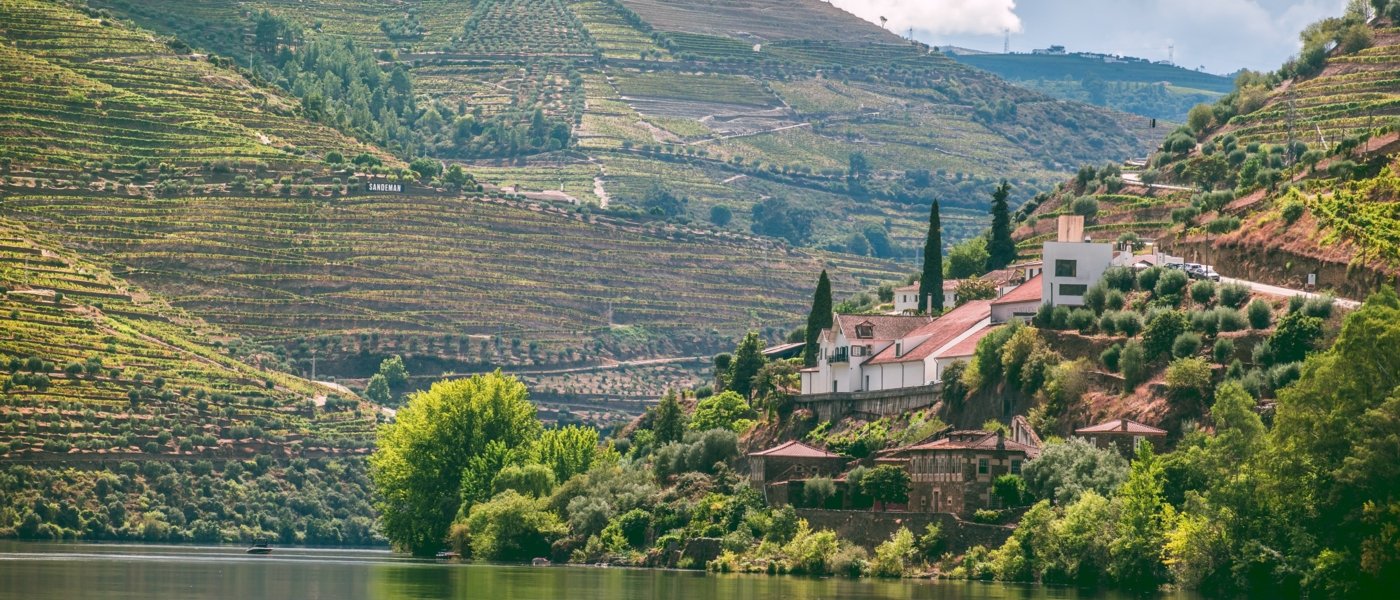 Portugal Winezine