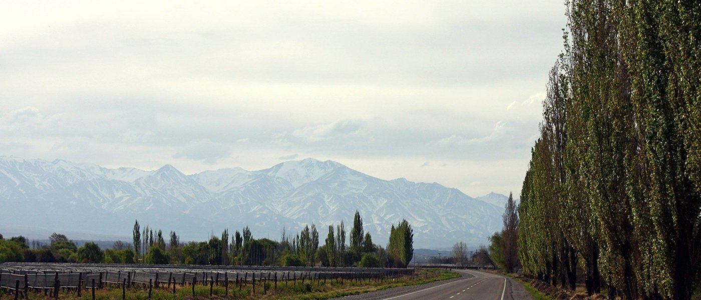 wine tours Mendoza - Wine Paths