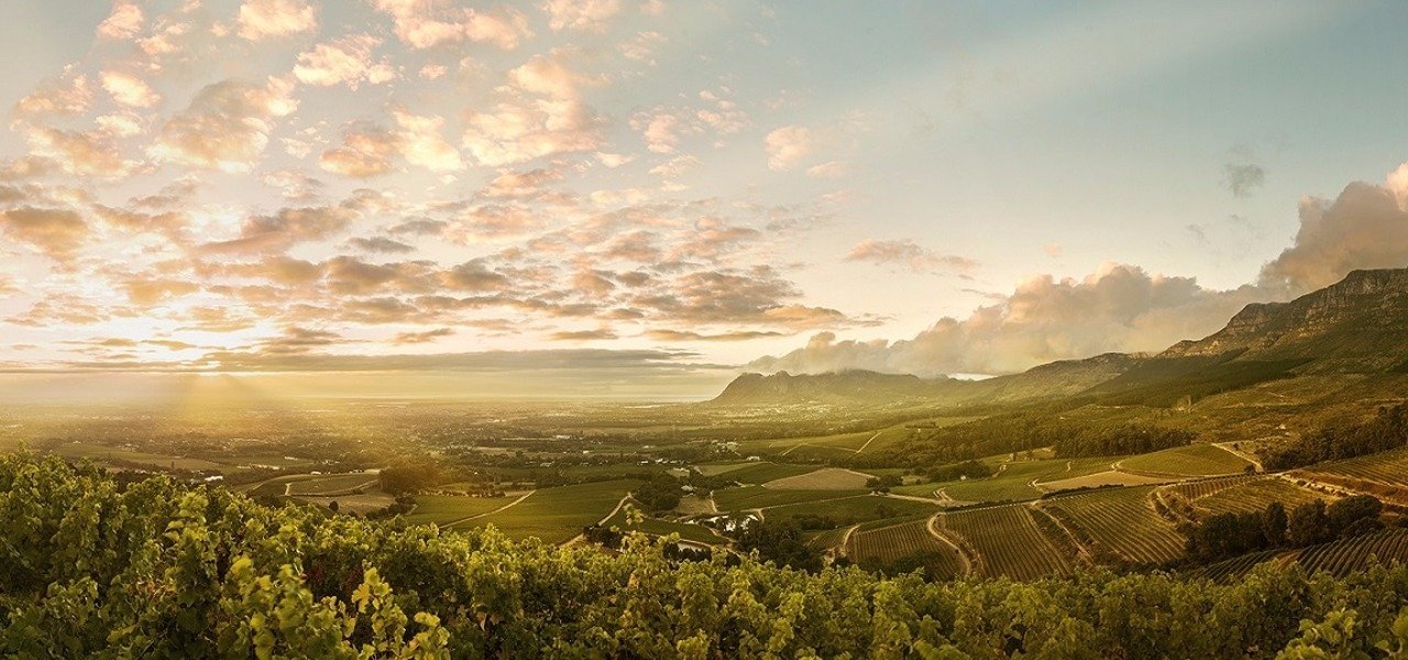 south africa wine tours - Wine Paths