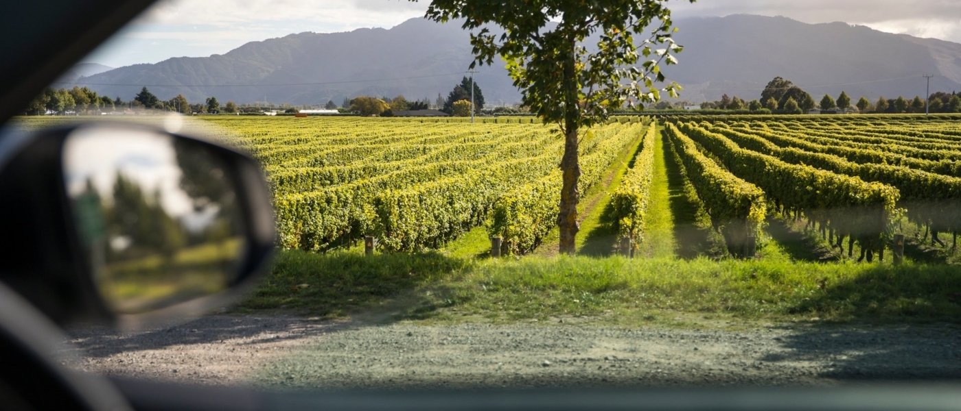 new zealand wine tours - Wine Paths