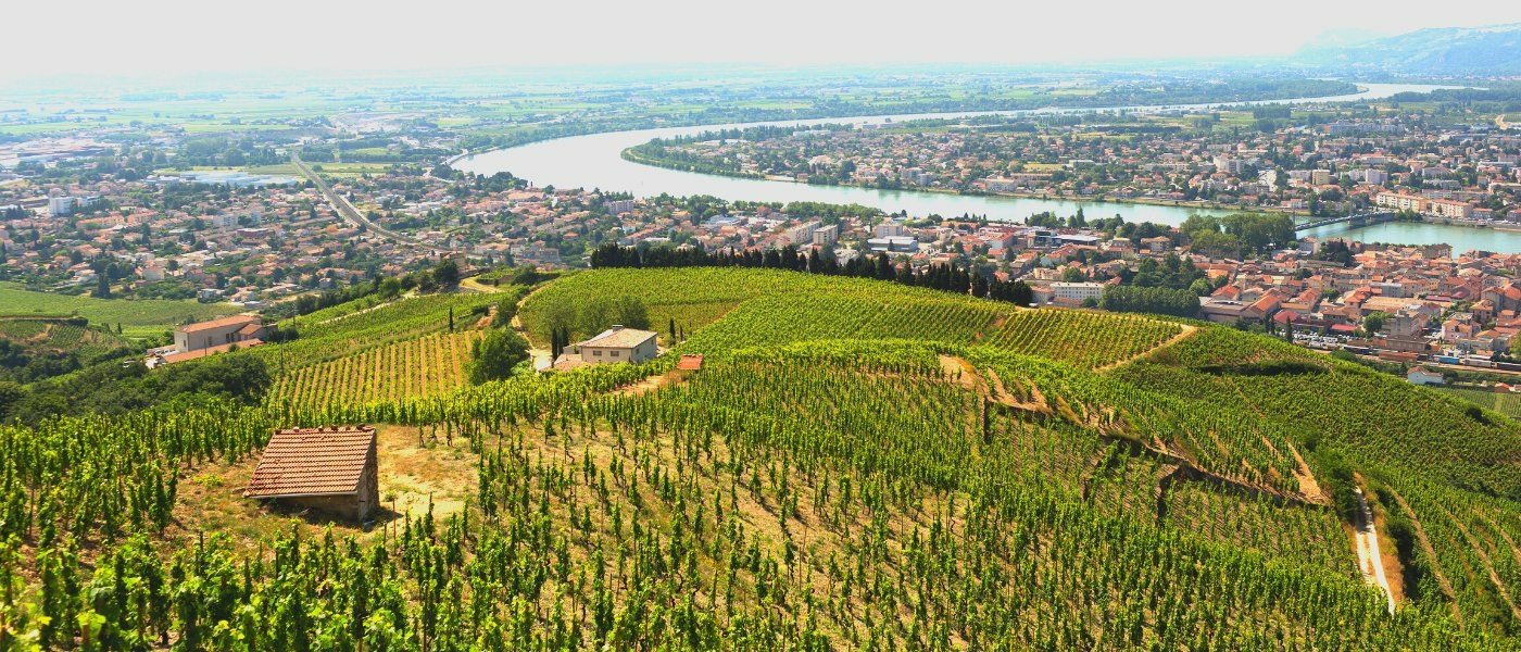 rhône valley wine tours - Wine Paths