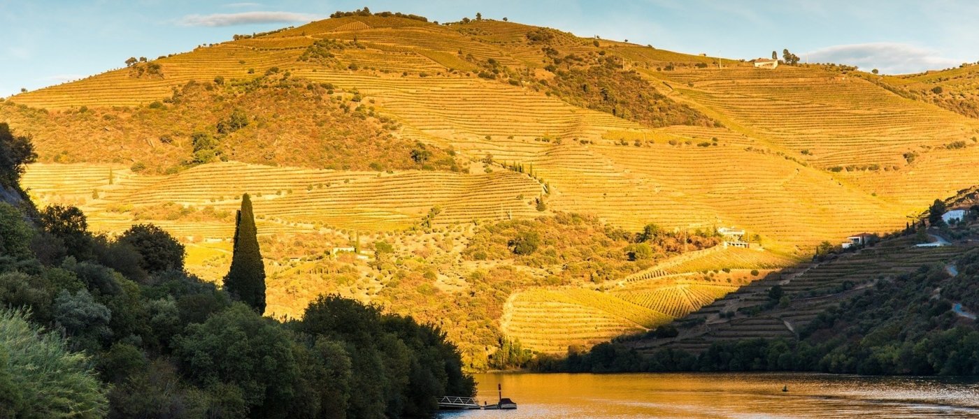 portugal wine tours - Wine Paths