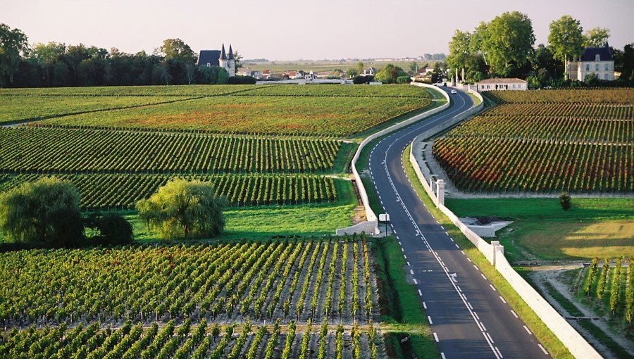 bordeaux wine tours - Wine Paths