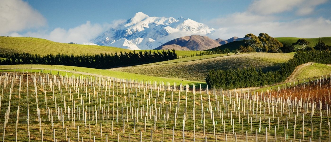 new zealand wine tours - Wine Paths