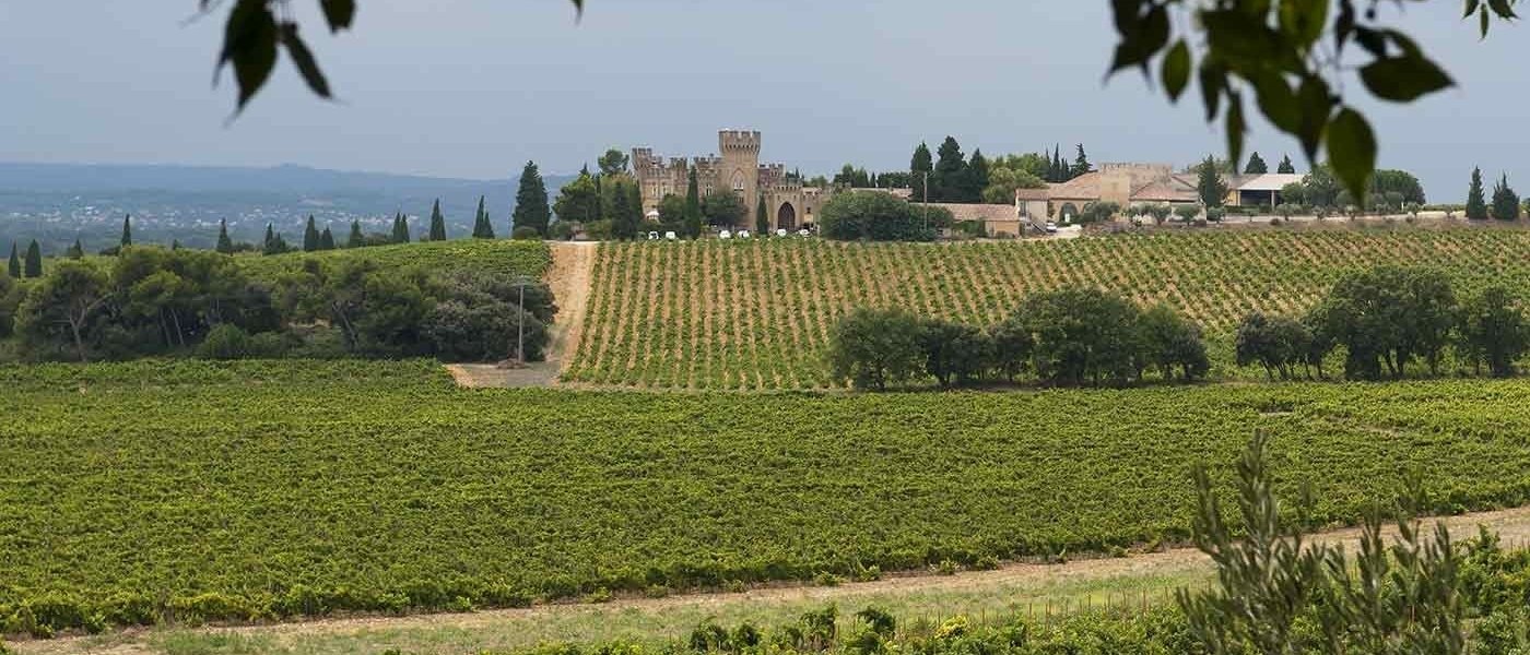 Rhône Valley wine map - Wine Paths