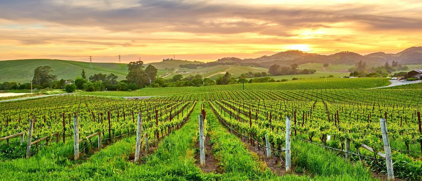 best sonoma valley wine tours - Wine Paths