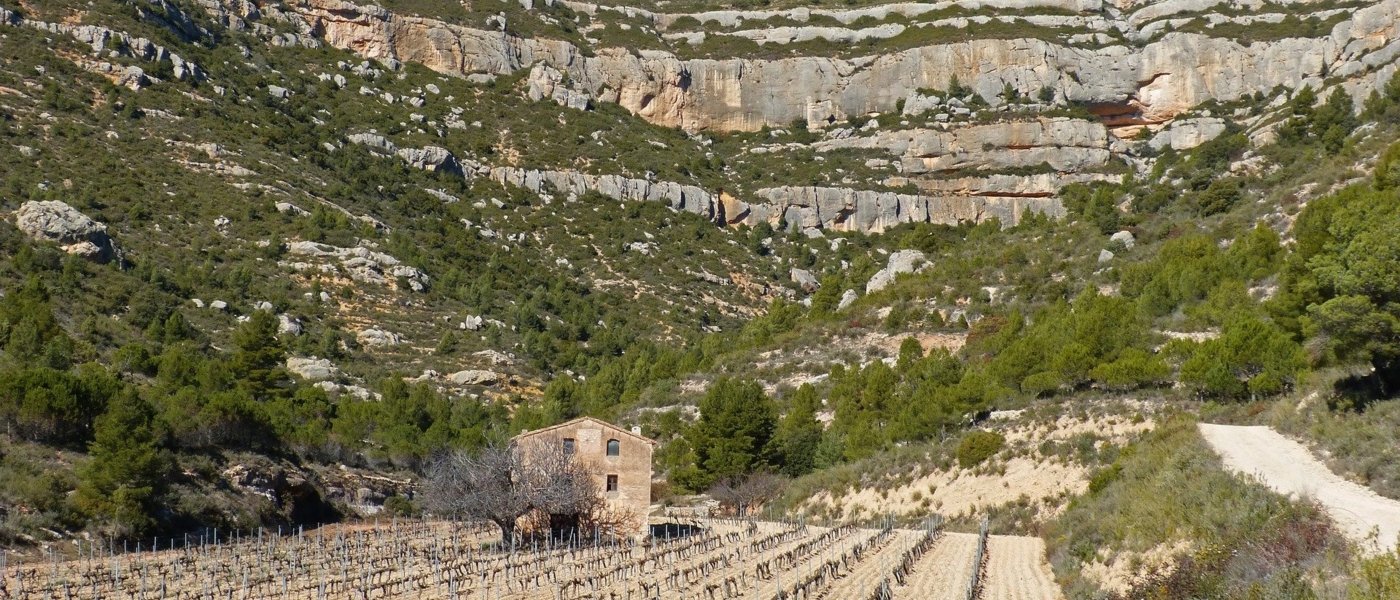 best wine tours in catalonia - Wine Paths