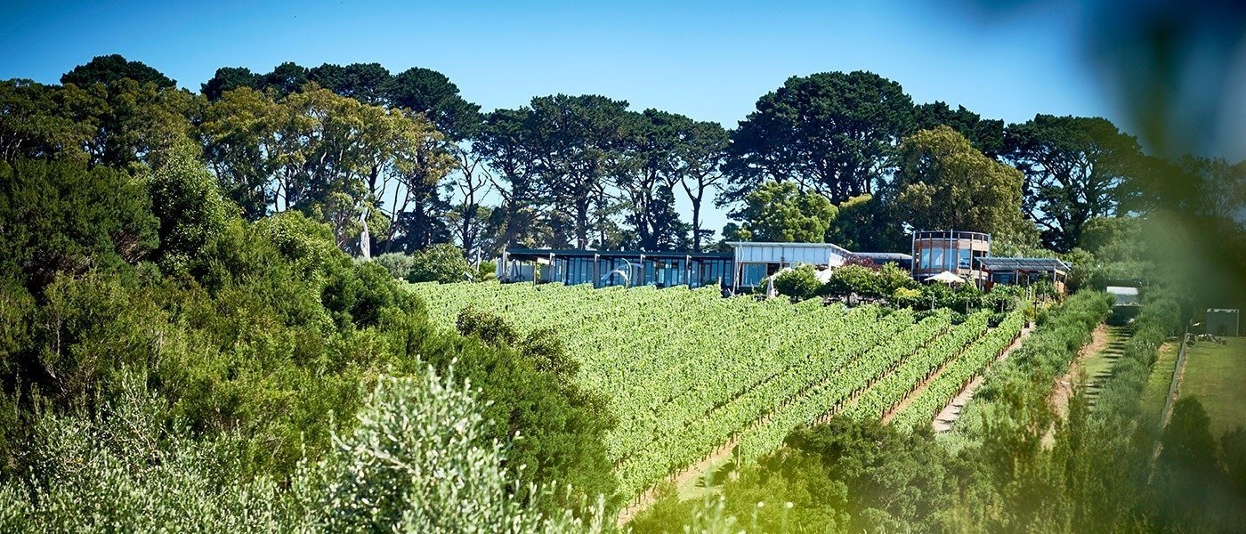 Montalto Vineyard & Olive Grove