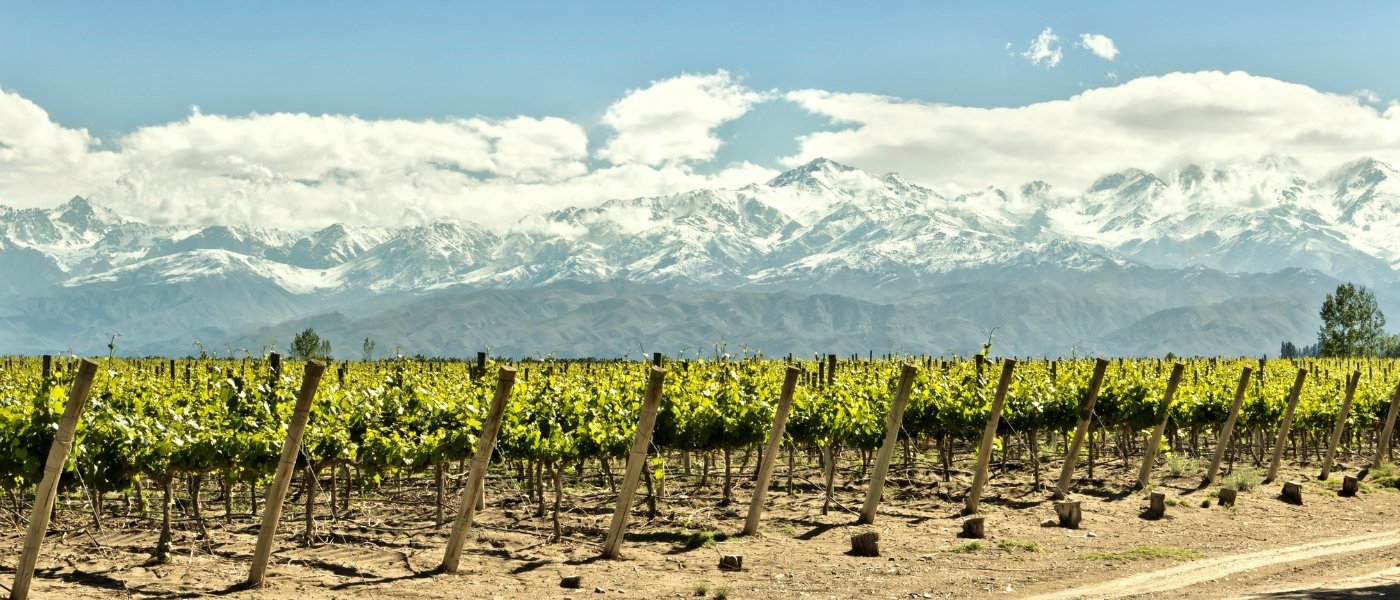 argentinian wine - Wine Paths
