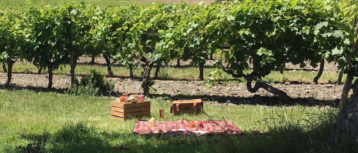 CHIC PICNIC IN THE VINEYARDS