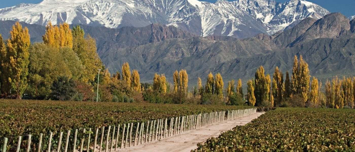 Luxury Itineraries in Argentina - Wine Paths