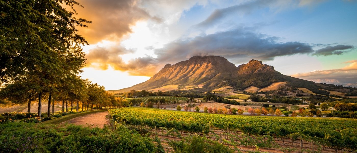 11-Day Cape Town to Safari Tour - Wine Paths