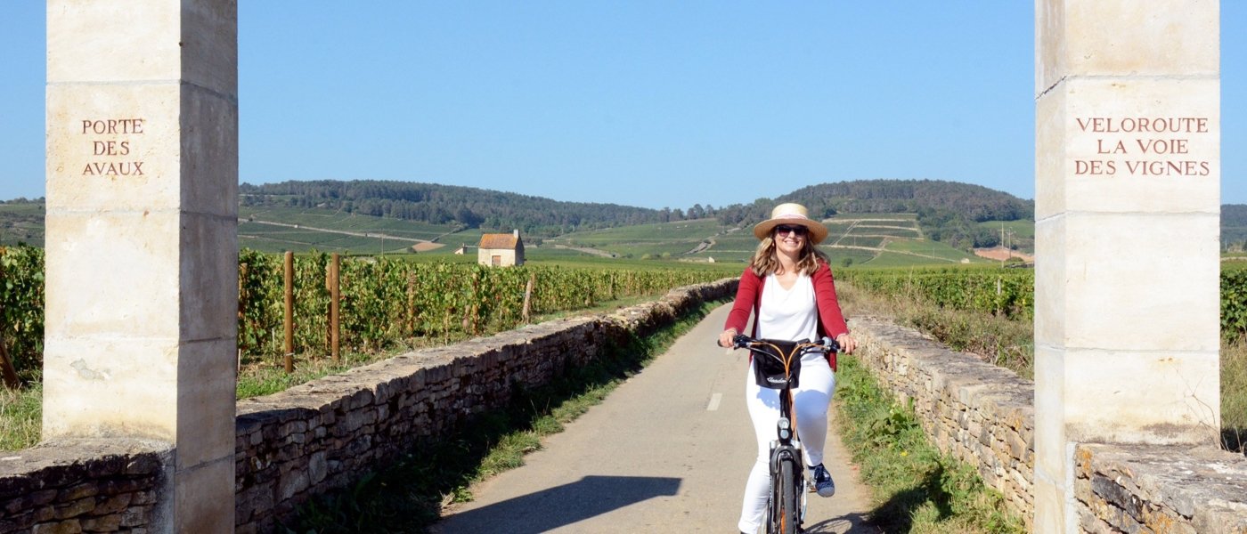 Bicycles wine road in Burgundy - Wine Paths