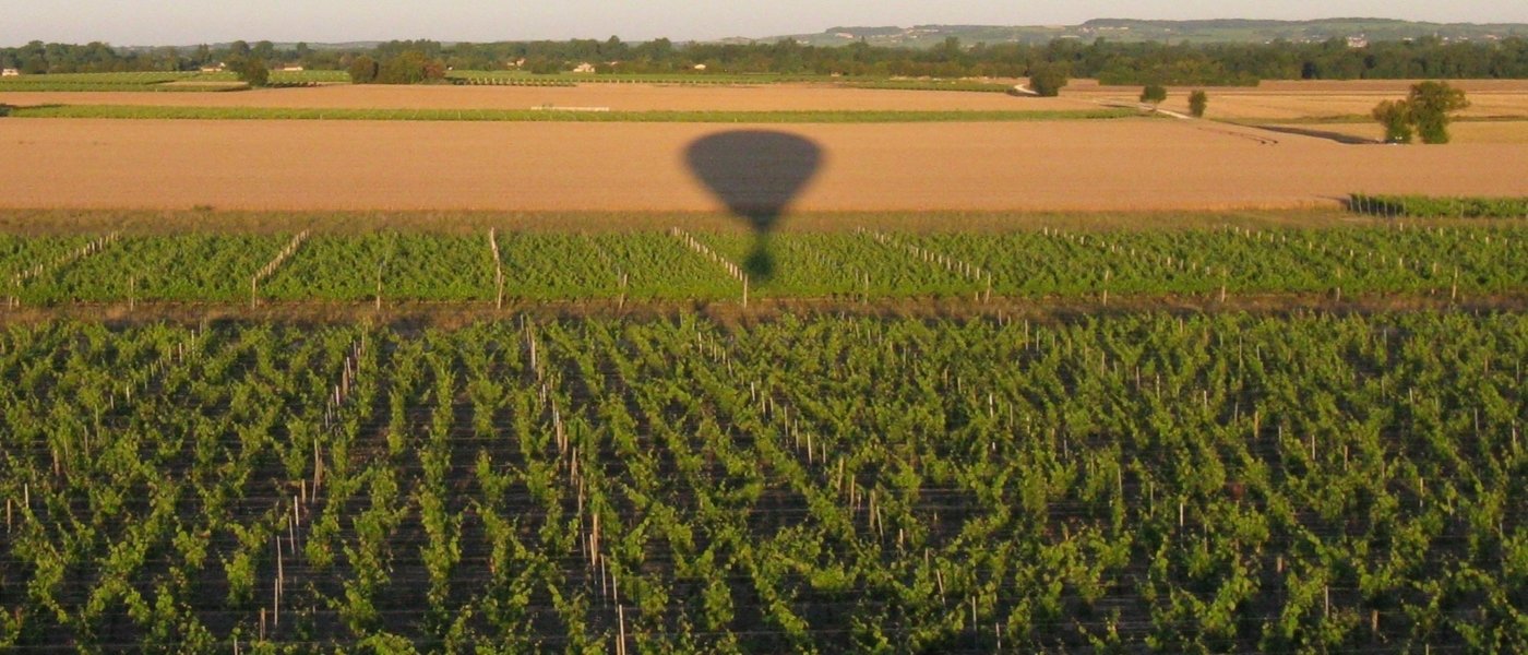 Hot air balloon flight above Cognac vineyards -  Wine Paths