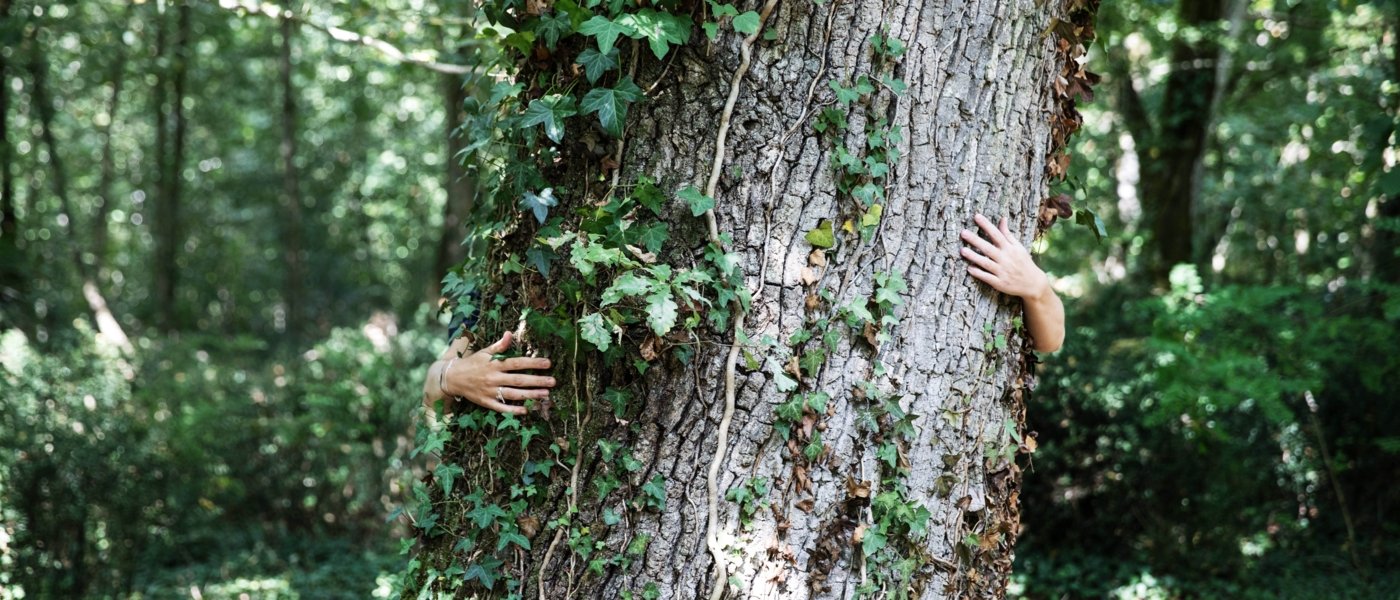 Bain de Forêt