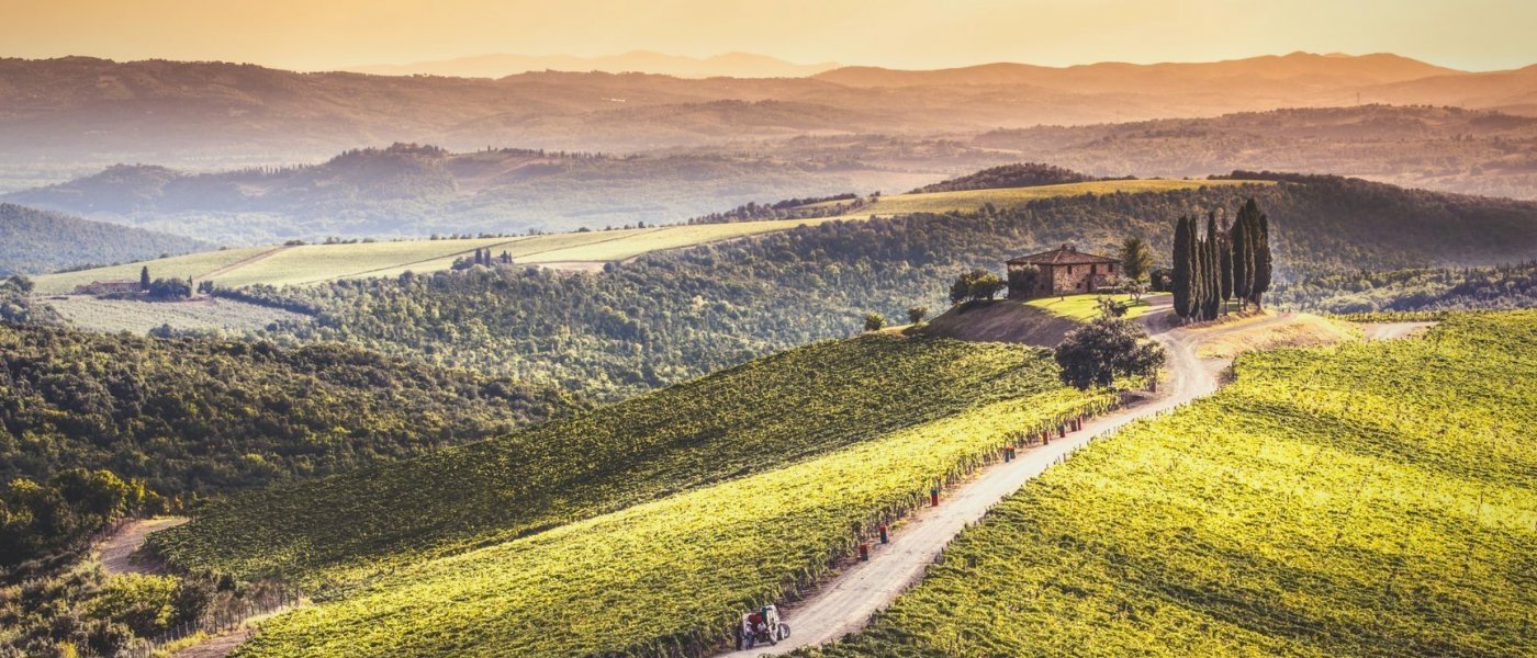 Castiglion del Bosco vineyards - Wine Paths