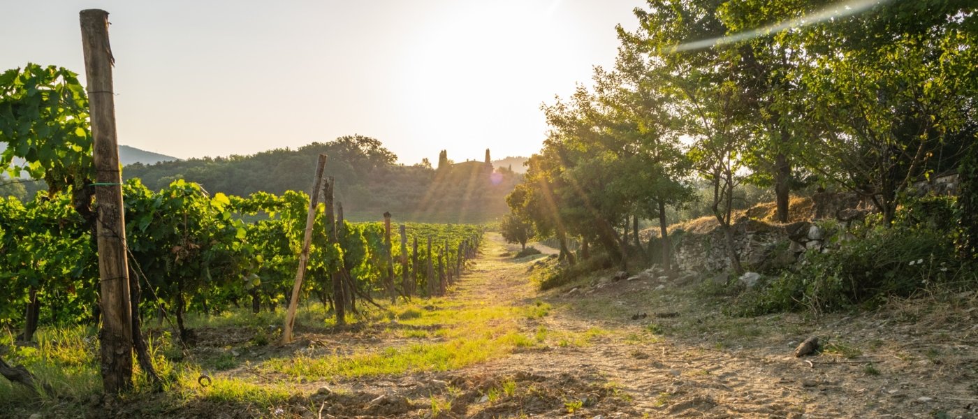 Maremma Toscana