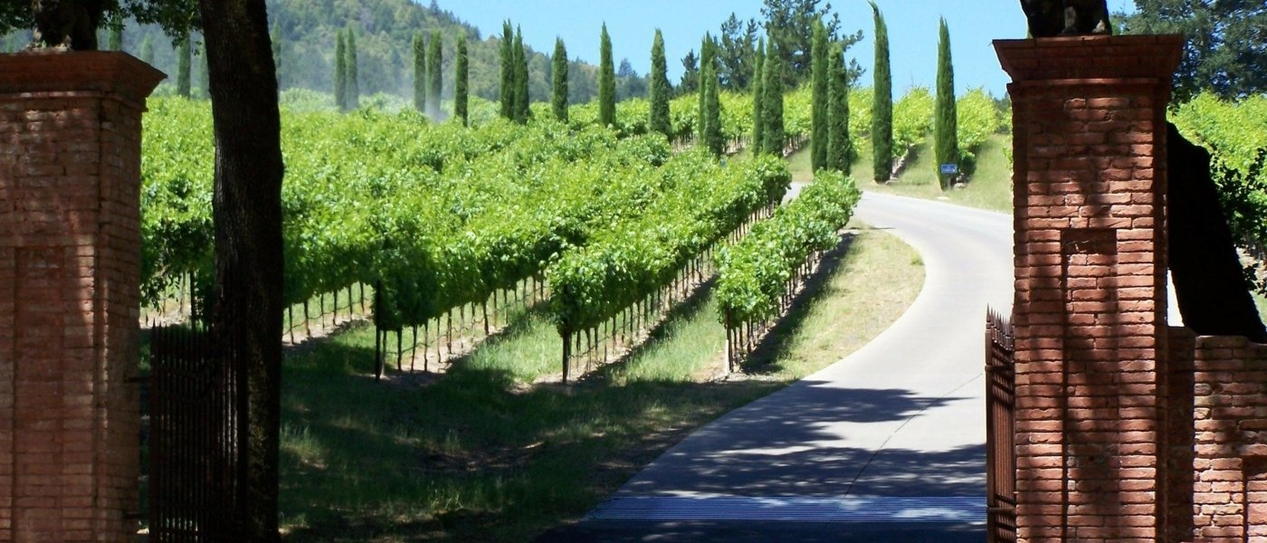 napa valley wine tours - Wine Paths