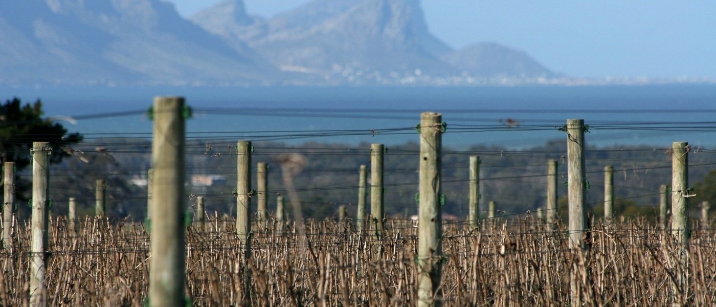 south africa wine tours - Wine Paths